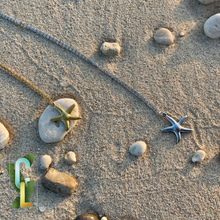 Load image into Gallery viewer, Starfish
